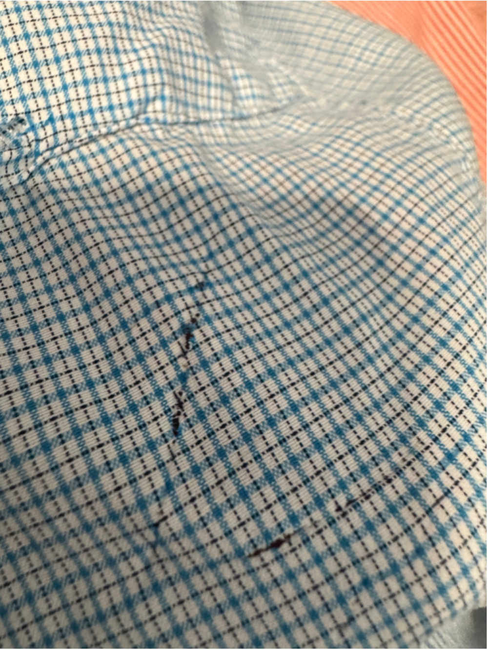 Women's ExOfficio Blue and White Plaid Long Sleeve Button Down Shirt, Size L - Picture 15 of 16